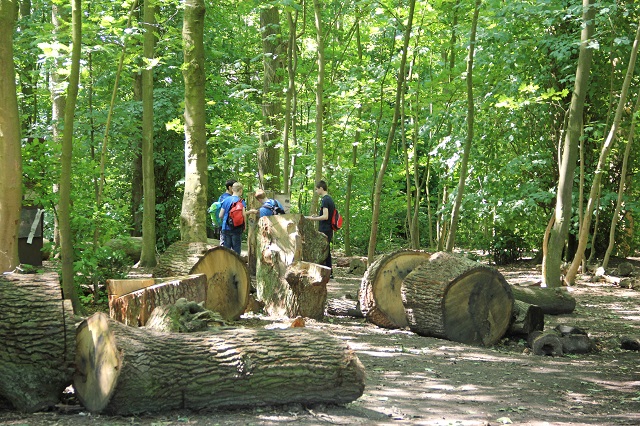 Waldstation Waldstation