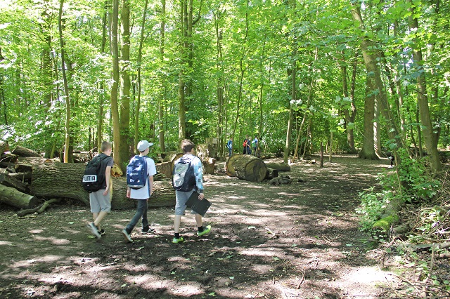 Wald und Klima Wald und Klima