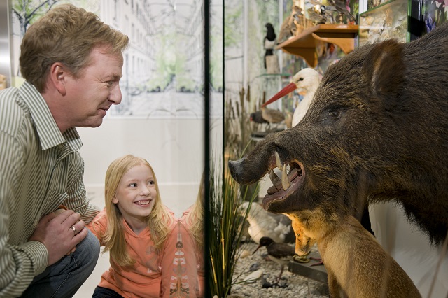 Wilde Tiere HH Wilde Tiere HH
