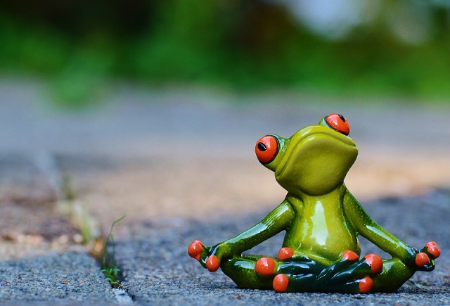 yogafrosch yogafrosch
